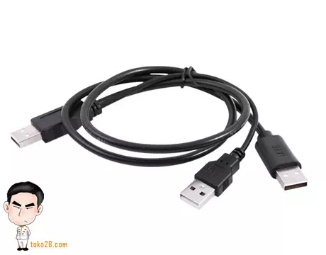 Jual kabel USB Harddisk cabang 2 male